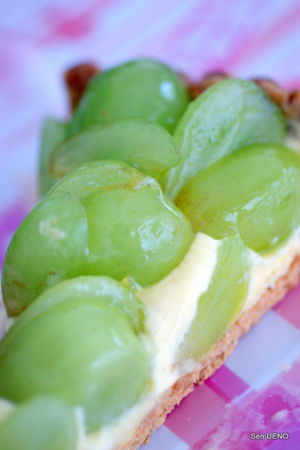 f:id:sen-u:20090831012626j:image f:id:sen-u:20090831012626j:image