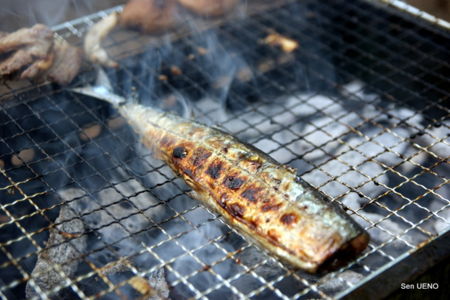 f:id:sen-u:20091005173147j:image