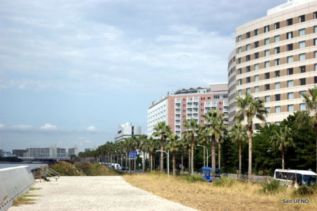 f:id:sen-u:20091010163143j:image