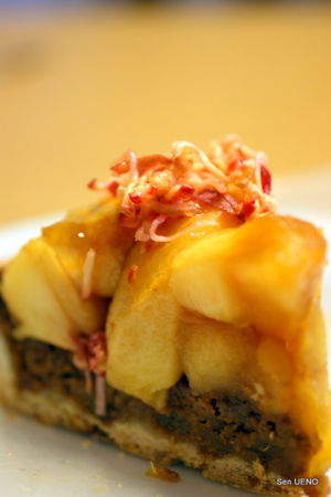 f:id:sen-u:20091215012255j:image