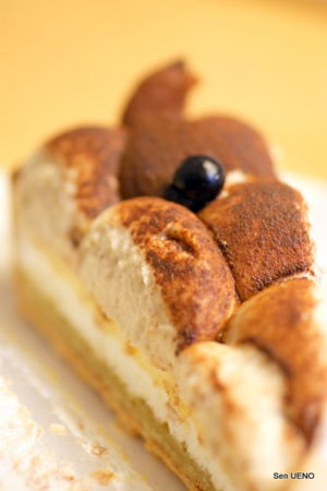 f:id:sen-u:20091215012256j:image