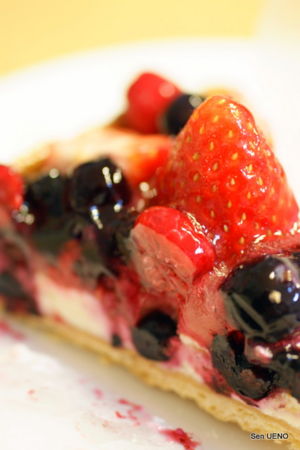f:id:sen-u:20091215012257j:image