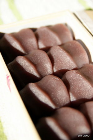 f:id:sen-u:20091230175857j:image