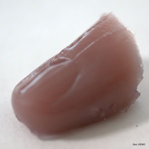 f:id:sen-u:20100116180617j:image