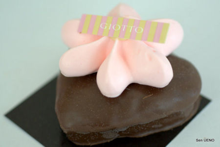f:id:sen-u:20100228184122j:image