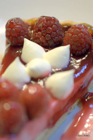 f:id:sen-u:20100309233656j:image