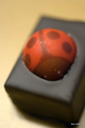 f:id:sen-u:20100313010513j:image