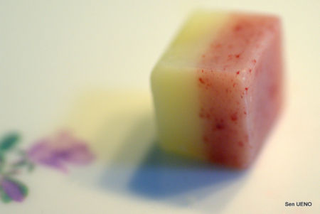 f:id:sen-u:20100322145158j:image