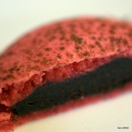 f:id:sen-u:20100322145205j:image f:id:sen-u:20100322145205j:image