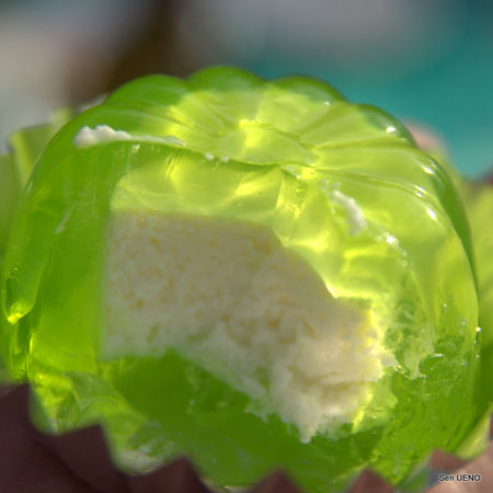f:id:sen-u:20100406004009j:image