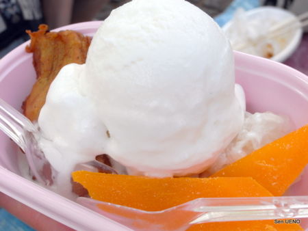 f:id:sen-u:20100516145944j:image