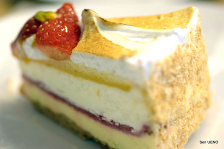 f:id:sen-u:20100603234315j:image