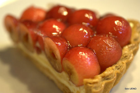 f:id:sen-u:20100603234316j:image