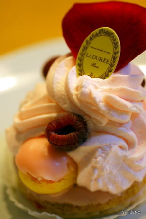 f:id:sen-u:20100629002912j:image