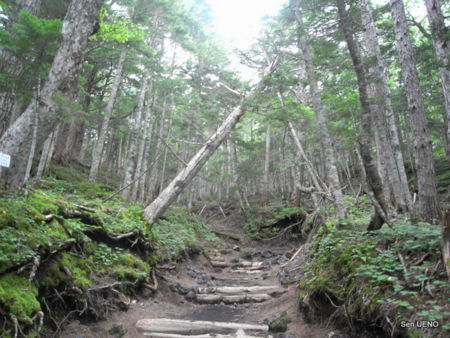 f:id:sen-u:20100811114154j:image