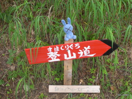 f:id:sen-u:20100811114155j:image