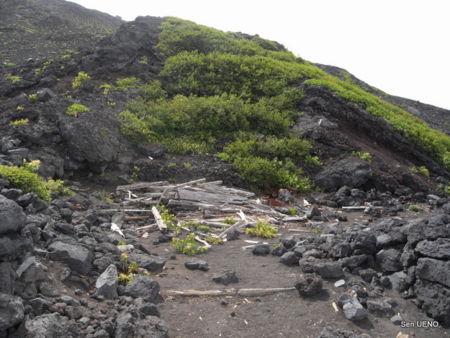 f:id:sen-u:20100811114156j:image