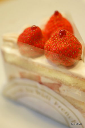 f:id:sen-u:20100823233253j:image
