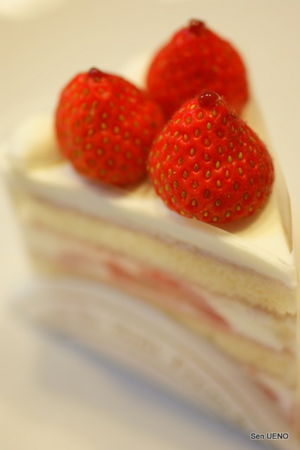 f:id:sen-u:20100823233254j:image