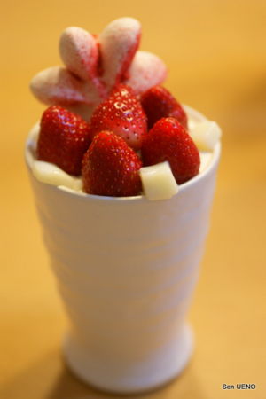 f:id:sen-u:20100913091617j:image f:id:sen-u:20100913091617j:image