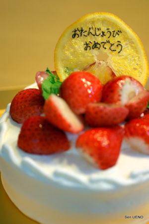 f:id:sen-u:20101004234357j:image