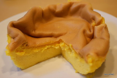 f:id:sen-u:20101104162216j:image