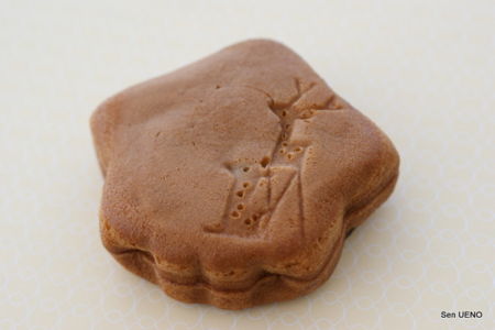 f:id:sen-u:20101114213453j:image