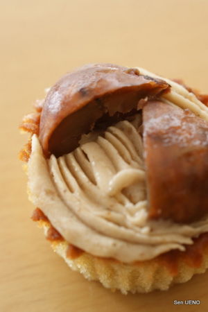 f:id:sen-u:20101121184625j:image