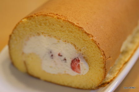 f:id:sen-u:20110212155519j:image
