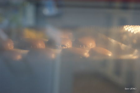 f:id:sen-u:20110216225507j:image