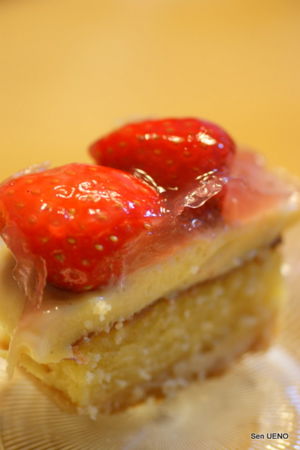 f:id:sen-u:20110223020635j:image