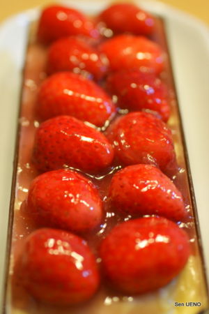 f:id:sen-u:20110223020636j:image