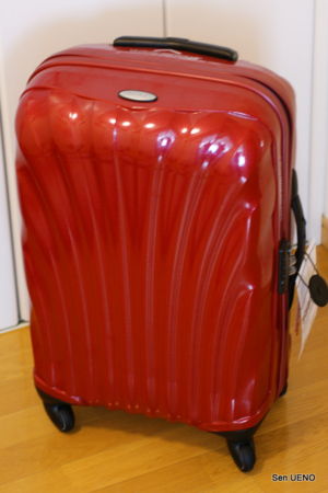 f:id:sen-u:20110311234923j:image