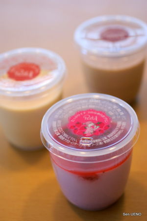 f:id:sen-u:20110314162610j:image