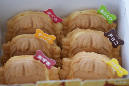 f:id:sen-u:20110316082846j:image