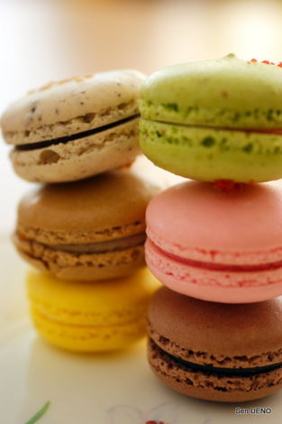 f:id:sen-u:20110328101704j:image