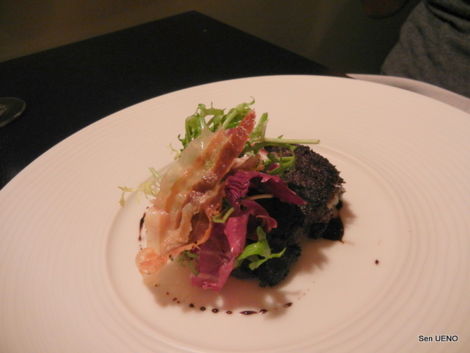 f:id:sen-u:20110418123457j:image