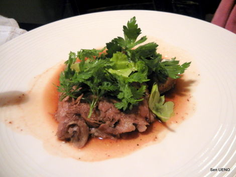 f:id:sen-u:20110418123459j:image