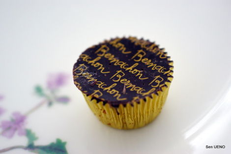 f:id:sen-u:20110418152547j:image
