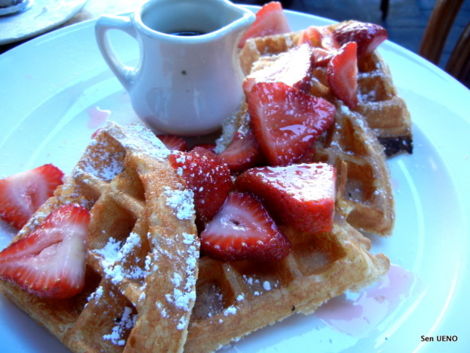 f:id:sen-u:20110808145152j:image f:id:sen-u:20110808145152j:image
