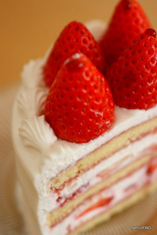 f:id:sen-u:20111127230926j:image