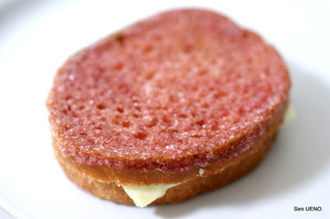 f:id:sen-u:20111209001230j:image