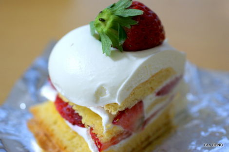 f:id:sen-u:20111212004314j:image