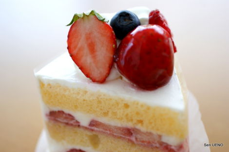 f:id:sen-u:20120504213710j:image