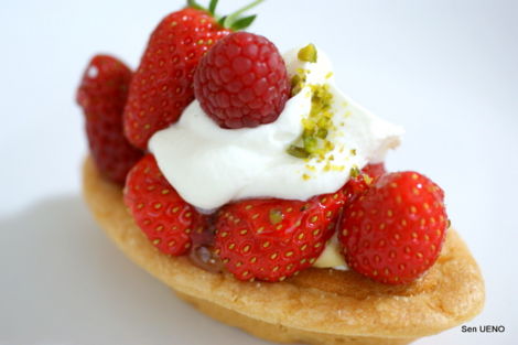 f:id:sen-u:20120504213713j:image