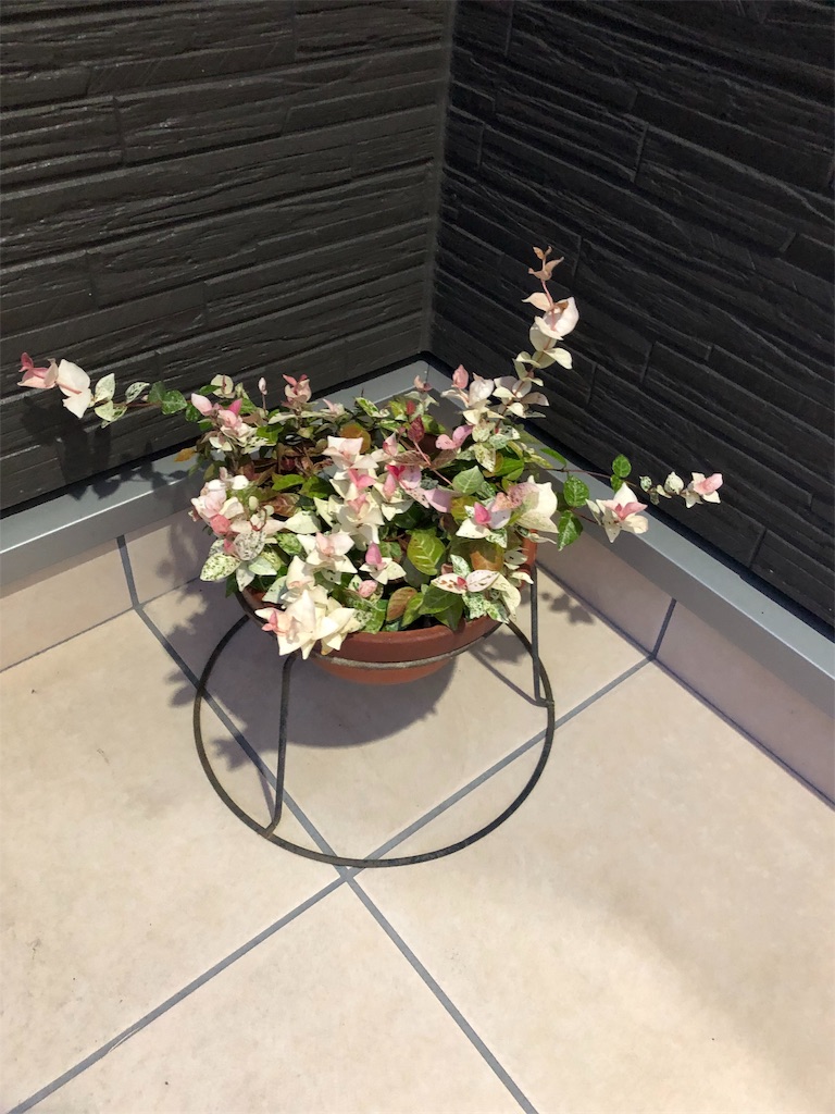 f:id:sen206:20190901025021j:image