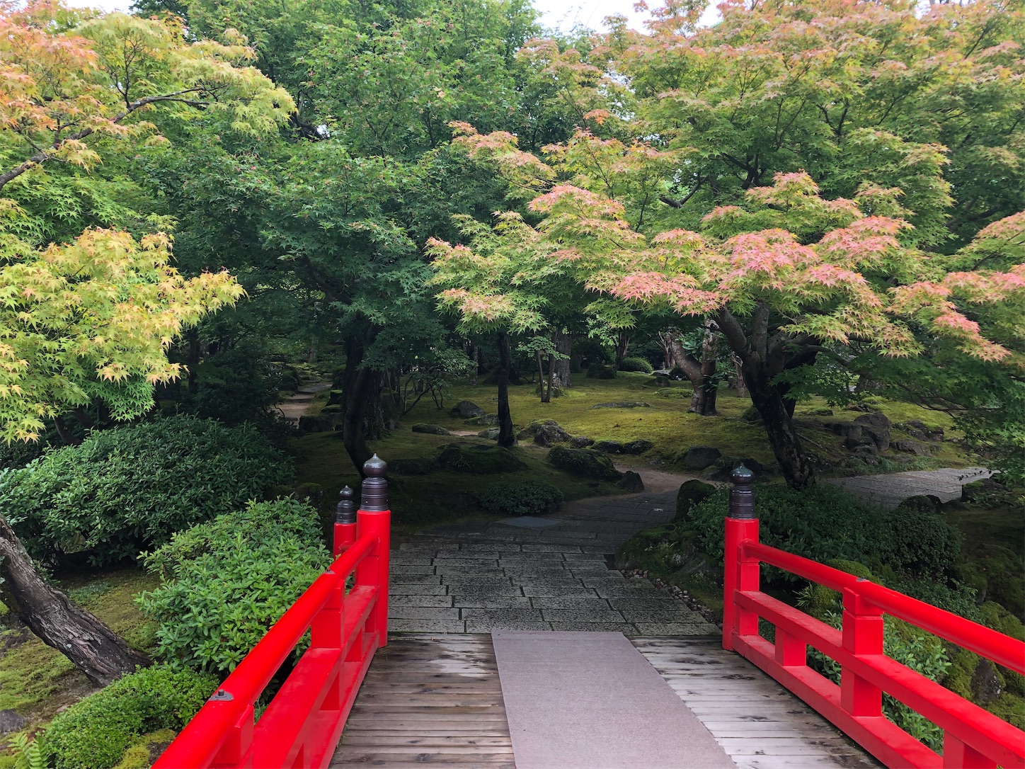 f:id:sen325:20210709234328j:image f:id:sen325:20210709234328j:image