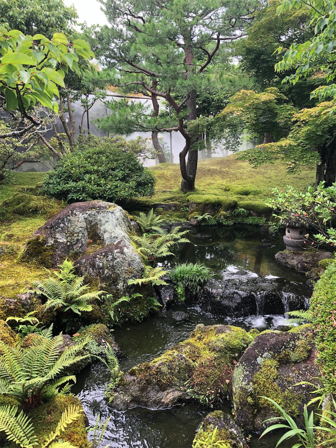 f:id:sen325:20210709234332j:image f:id:sen325:20210709234332j:image