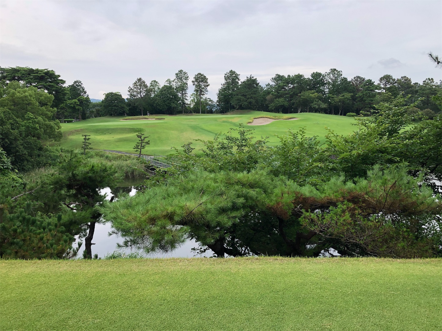 f:id:sen325:20210717211651j:image f:id:sen325:20210717211651j:image