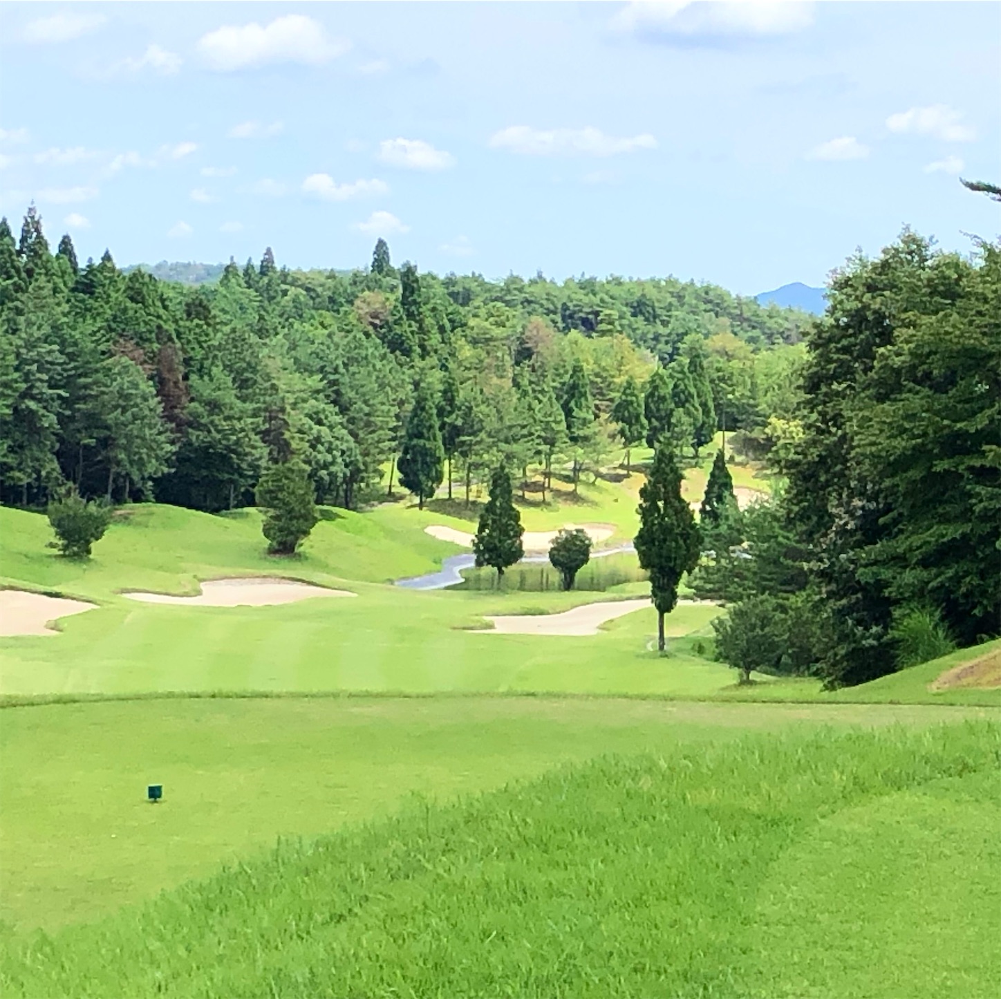 f:id:sen325:20210725232258j:image f:id:sen325:20210725232258j:image